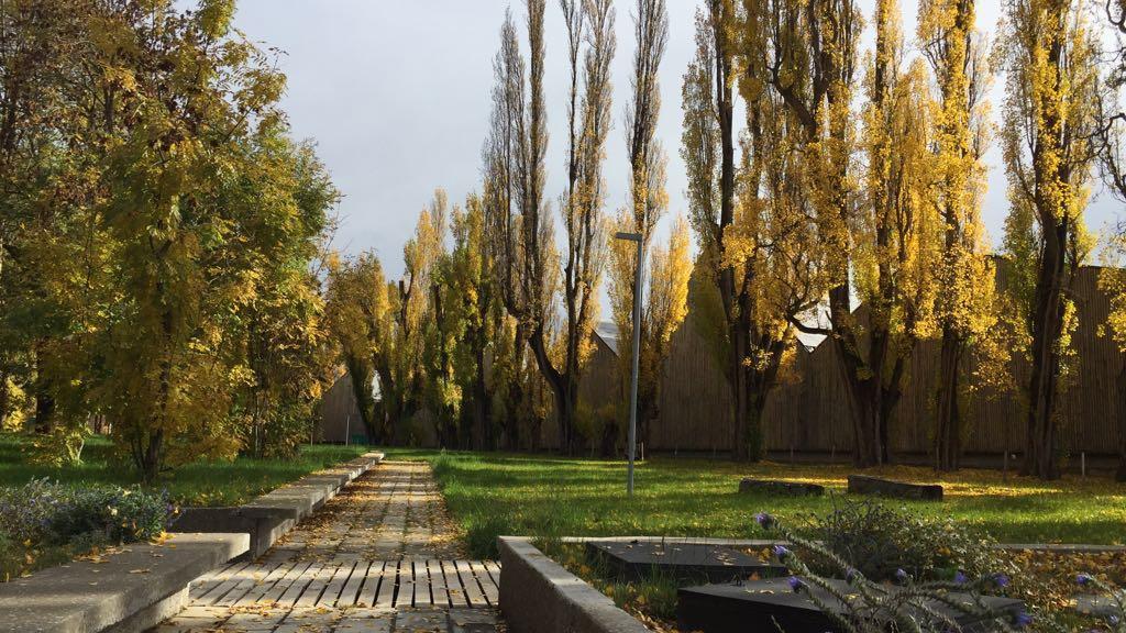 Parque del Museo Regional de Aysén Jazz en el Museo se desarrollará al aire libre