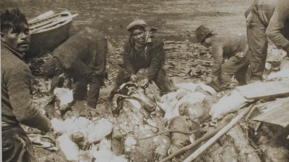 Chilotes e indigenas, los dueños de los canales