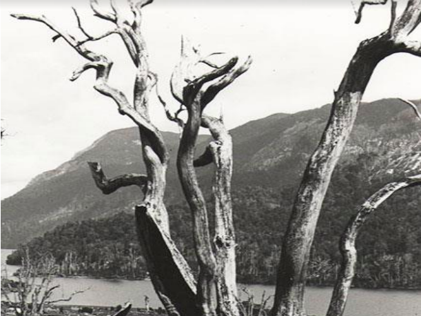 Paisaje de Aysén