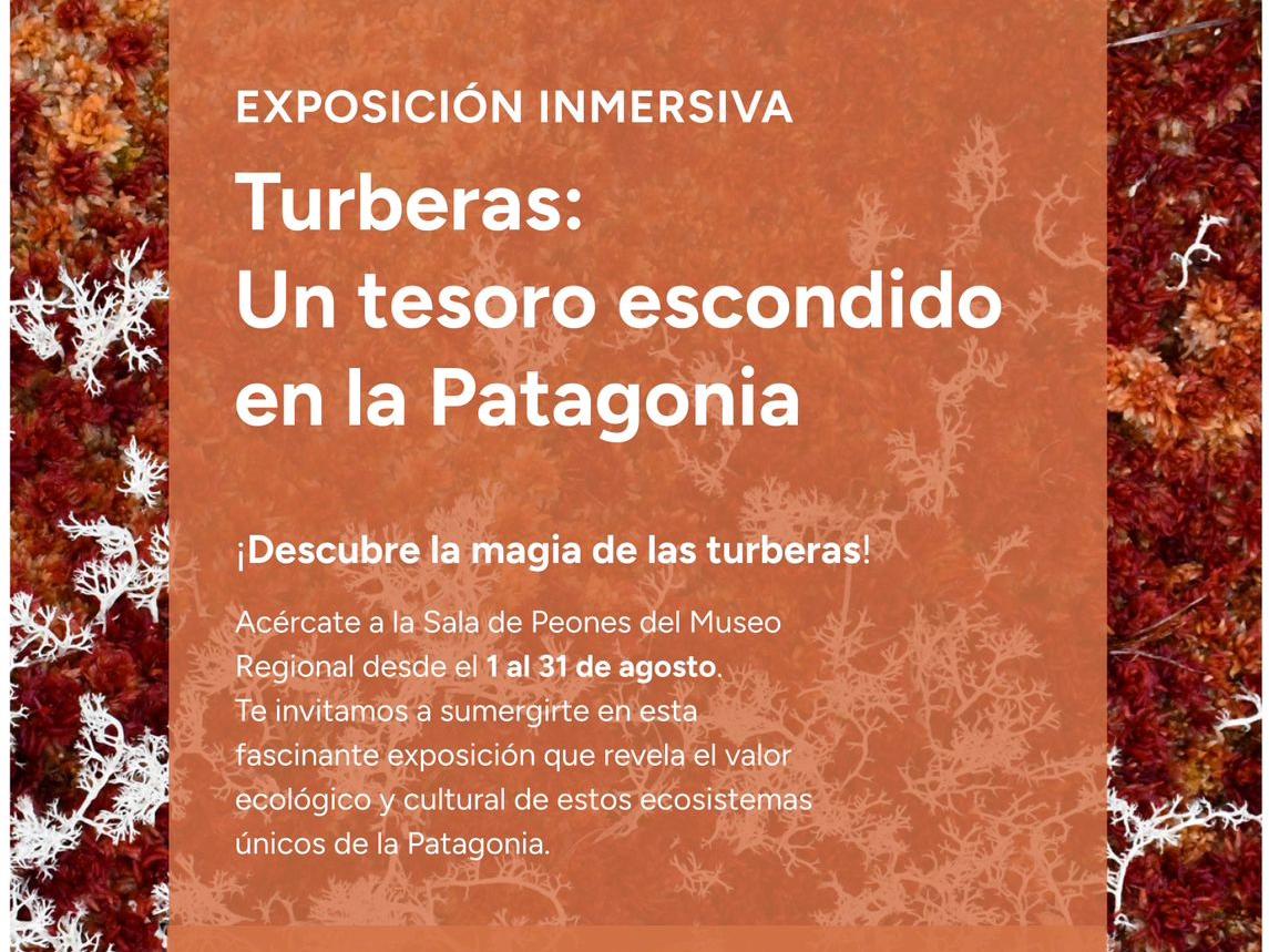 Turberas: un tesoro escondido en la Patagonia