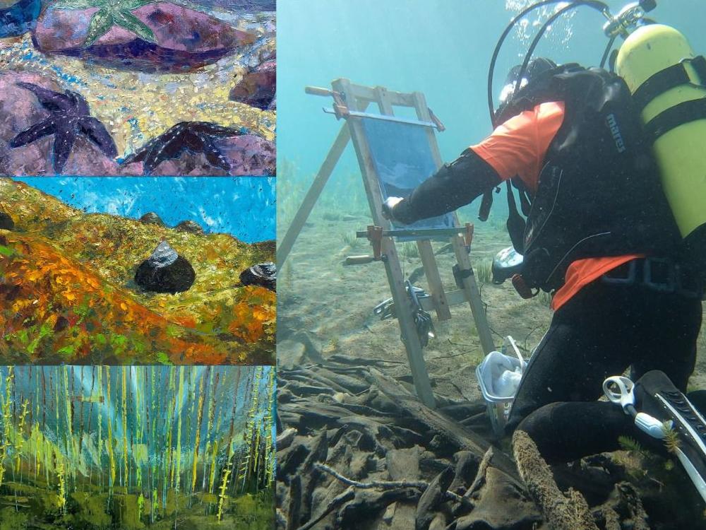 Aysén Paisaje Secreto