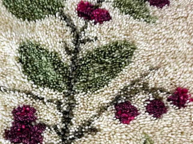 Botánica Textil
