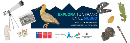 Explora tu verano en el Museo