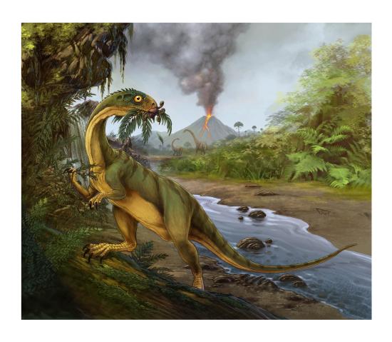 Chilesaurus diegosuarezi