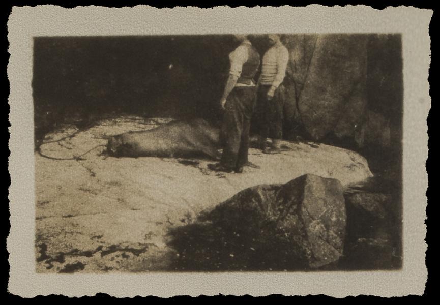 Dos cazadores de lobos de mar