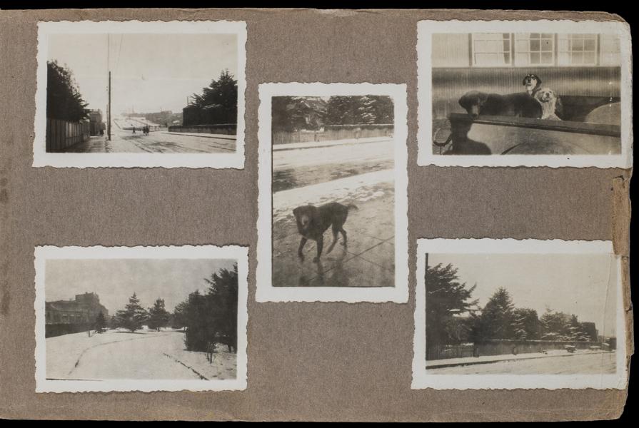 Llegada a Punta Arenas