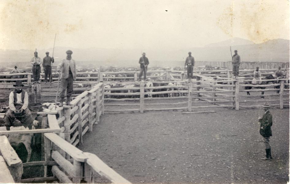Peones de la Sociedad Industrial del Aysén, trabajando en corrales de aparte para vacunos en la Estancia Coyhaique Peones de la Sociedad Industrial del Aysén, trabajando en corrales de aparte para vacunos en la Estancia Coyhaique