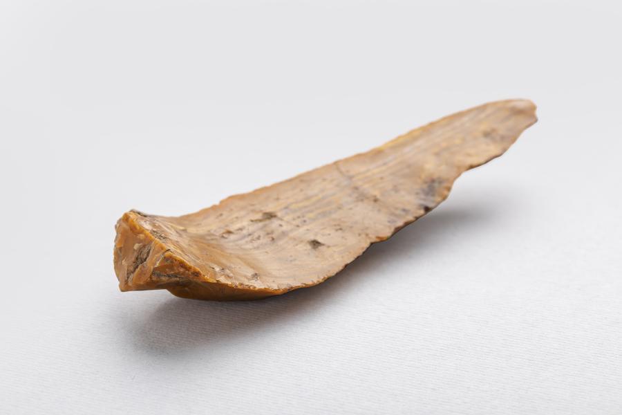Lámina (hoja)